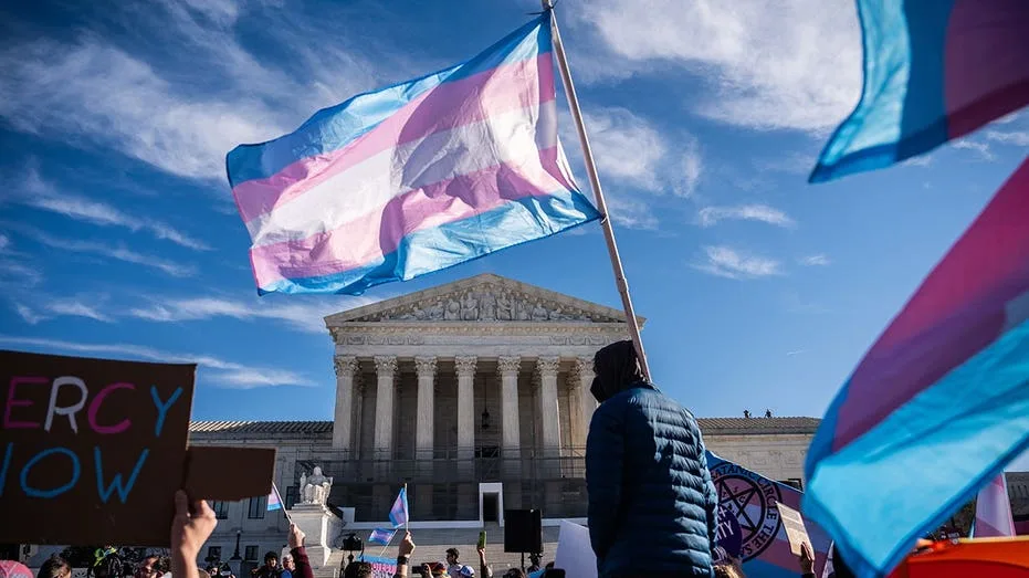 Log Cabin Republicans removes 'T' from LGBT advocacy, says 'radical' trans activists are eroding gay support