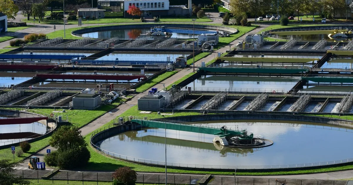 Eaux usées : face à Suez et Veolia, le principe de pollueur-payeur crispe les industries pharma et cosmétique