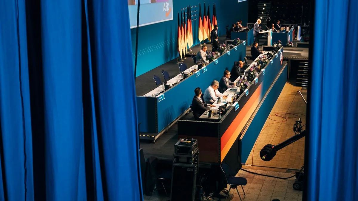 Essay: Warum Panik die AfD nur größer macht