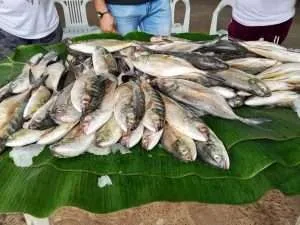 Feria Comunal del Pescado abastece a más de 1.000 familias monaguenses