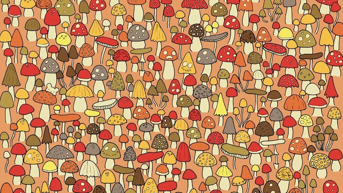 Suchbild: Augentest: Können Sie die Maus in nur 15 Sekunden finden?