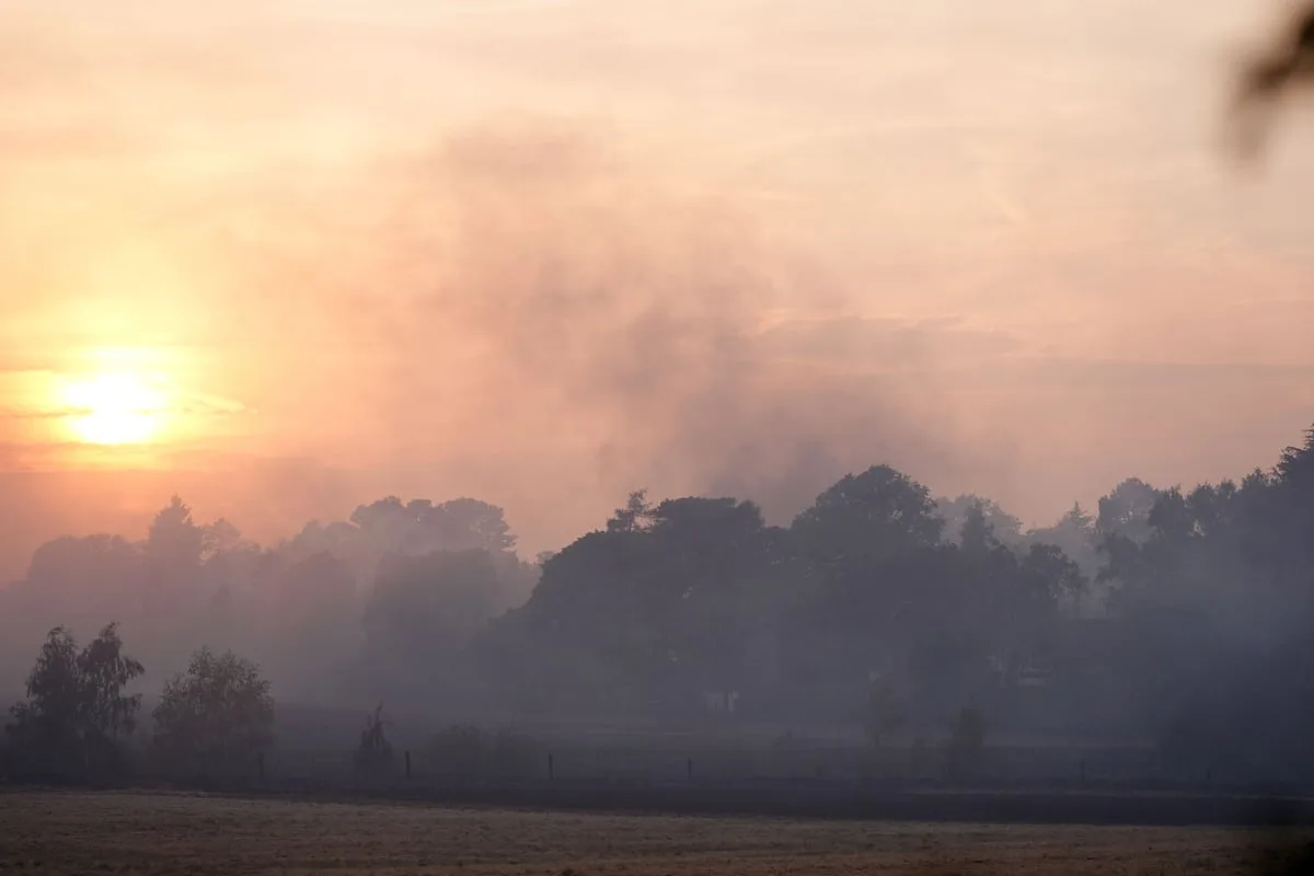 Fires that destroyed 19 homes in Stourbridge started accidentally – fire service
