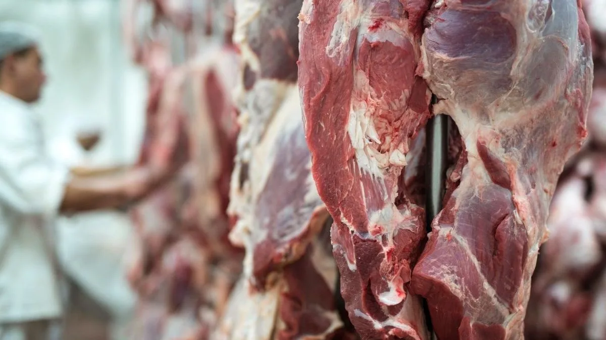 União Europeia suspende importação de carne bovina e de aves do Brasil a partir de quinta-feira
