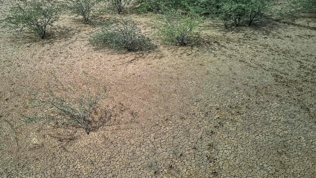 UN forecasts stronger El Niño conditions through December