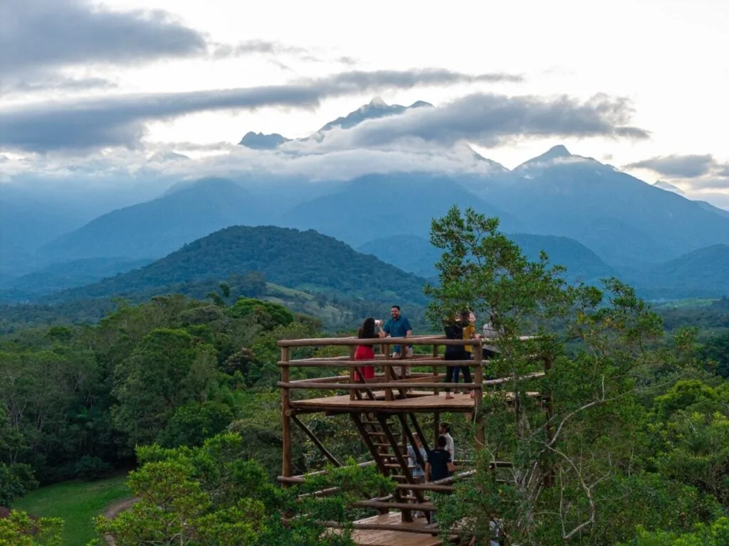 Área de conservação do Paraná ganha torre para observar a biodiversidade da Mata Atlântica