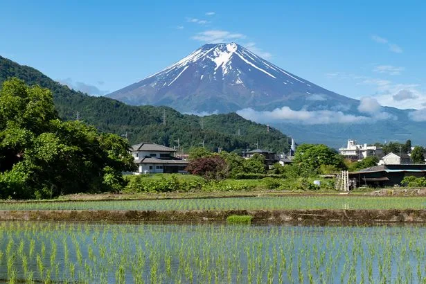 Boy, seven, left alone on Mount Fuji by dad after becoming tired on hike