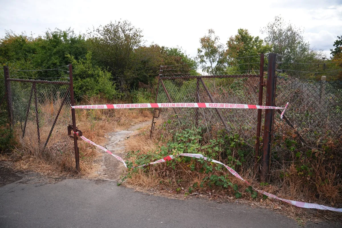 Murder inquiry launched after wildfire reveals human remains in woodland