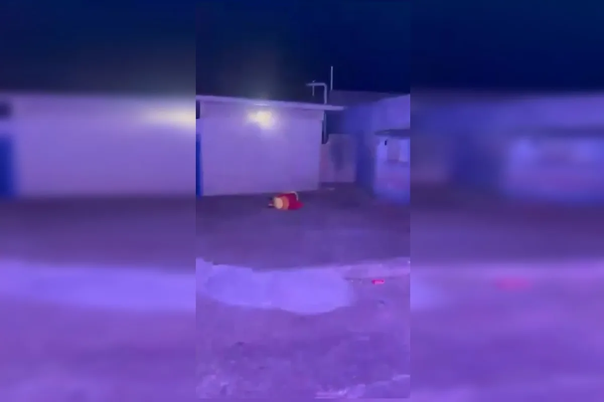 Integrante da Carreta Furacão cai de costas durante acrobacia no Entorno