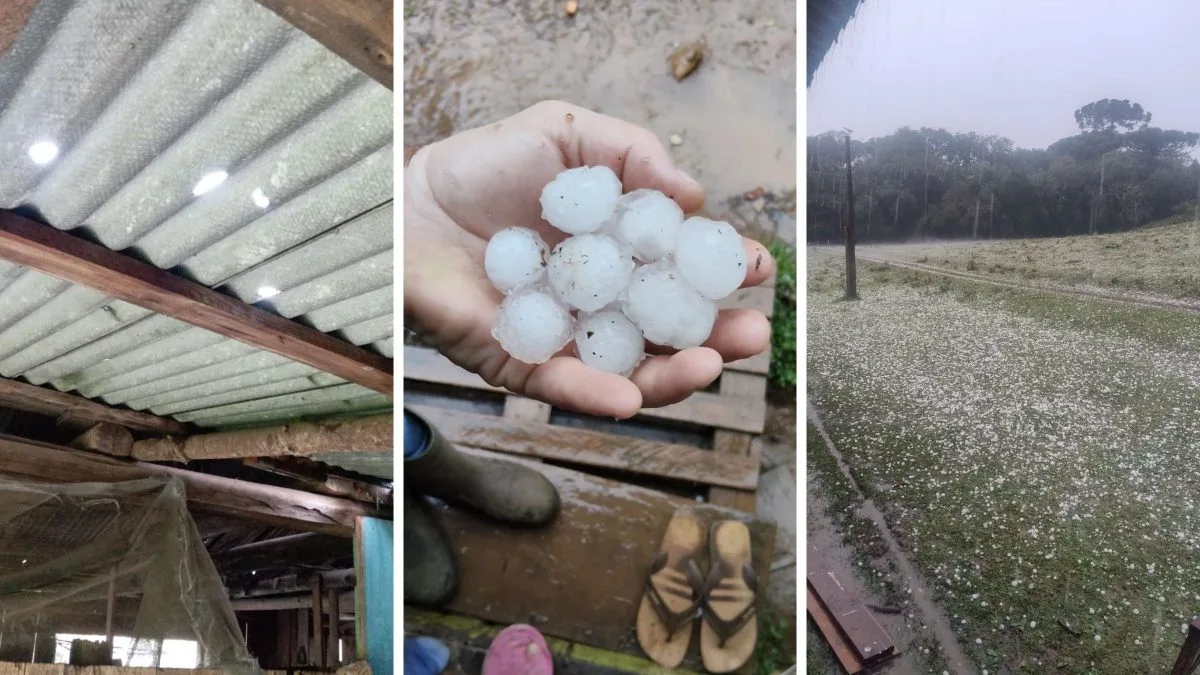 Granizo do tamanho de ‘bolas de pingue-pongue’ atinge cidade da Serra de SC, danifica casas e Defesa Civil contabiliza estragos