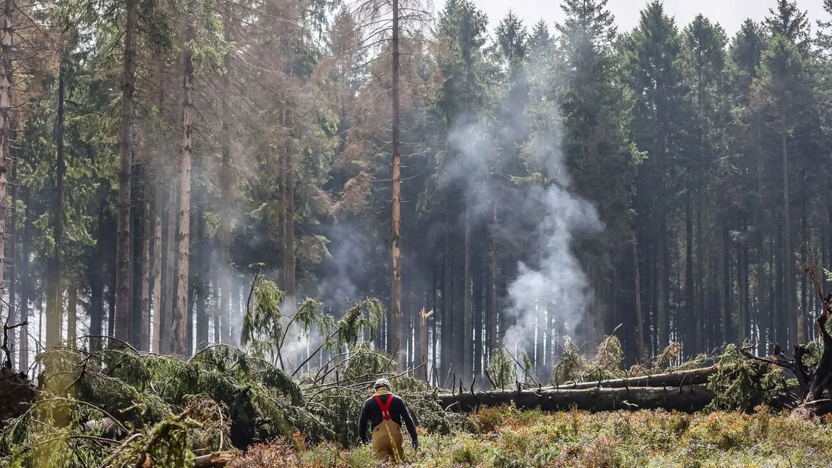 Einsatz-Update: Gouverneur: Feuer im Hohen Venn insgesamt „kontrolliert“