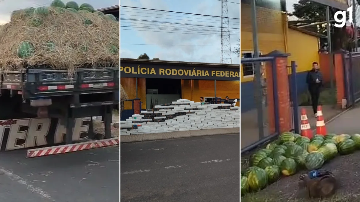 Carga de melancias esconde mais de 2,5 toneladas de maconha e motorista é preso na BR-386; droga é encontrada por cães farejadores