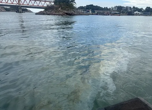 군산 장자대교 인근 해상에 1㎞ 길이 기름띠…발생 경위 조사
