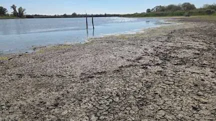 En Sologne, l'ouverture de la chasse au gibier d’eau fait débat après un été caniculaire