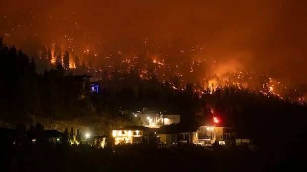 As wildfires destroy homes, should B.C. make FireSmart principles mandatory?