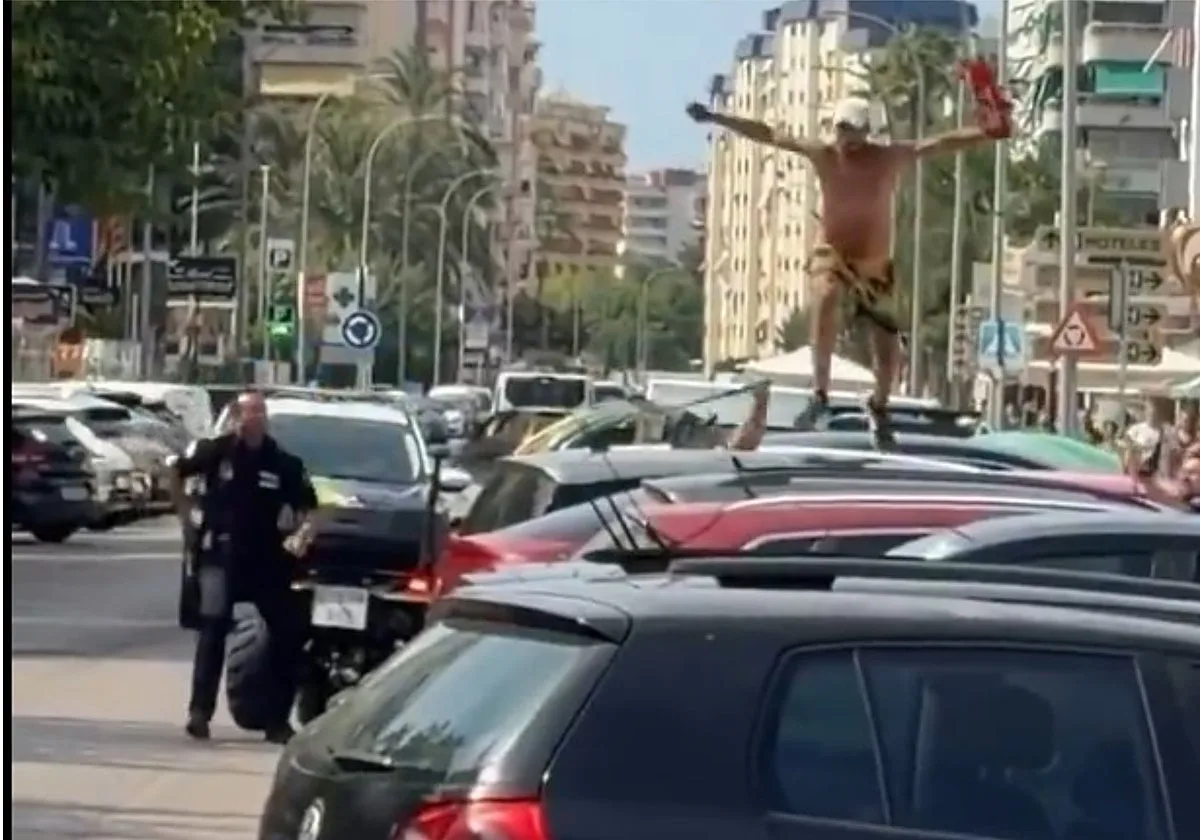 Un gorrilla roba a la Policía Local de Gandía y huye por los techos de los coches