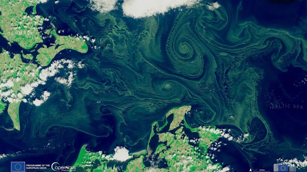 Luftbilder zeigen riesige Blaualgen-Teppiche in der Ostsee