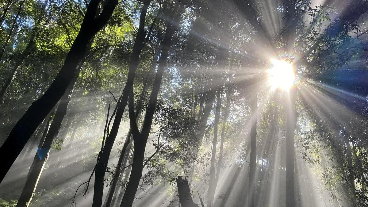 Environment rules promise protection but raise concerns