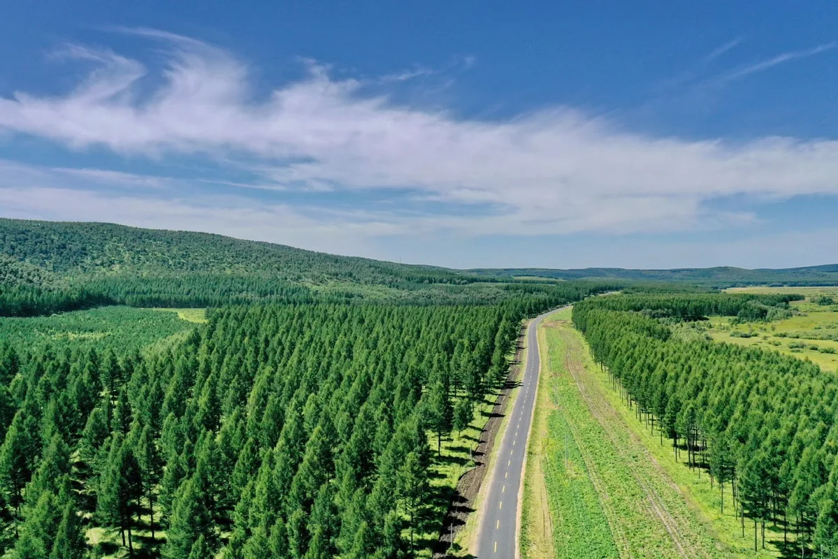 O novo plano da China para preservar o meio ambiente nos próximos cinco anos