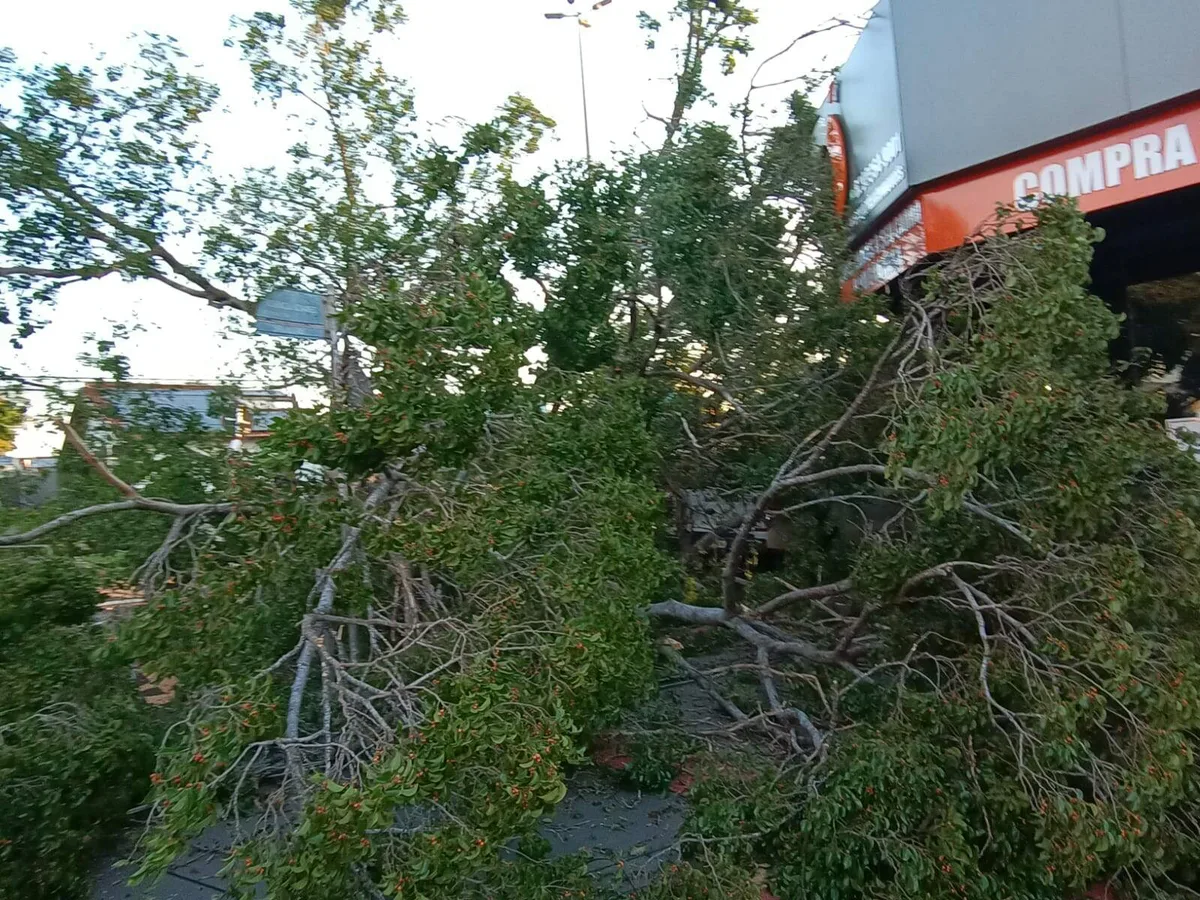 Semana começa com risco de temporal, granizo e ventos fortes