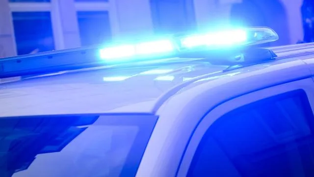 Tiere: Umzugskarton mit toten Haustieren in Sachsenburg gefunden