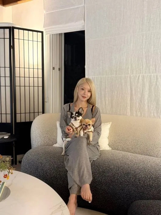 '36세' 초아, 신혼집 이사? AOA 탈퇴 9년 만에 "열심히 살겠습니다"