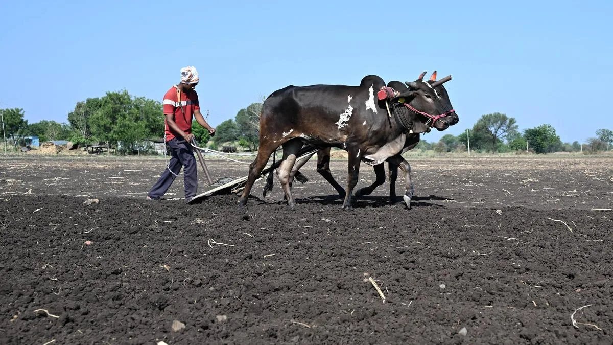 Dalit man transporting cattle forced to eat cow dung by ‘cow vigilantes’ in Maharashtra; no arrest made yet