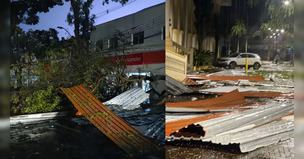 FOTOS: Temporal com ventos de 125 km/h deixa rastro de destruição em Apucarana