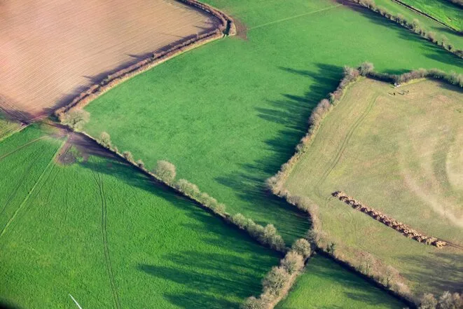 Restauration de la nature: la France présente un plan sans moyens ni nouveauté