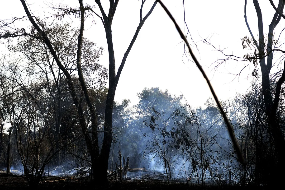 Eleições: 91% dos brasileiros defendem medidas contra mudanças climáticas