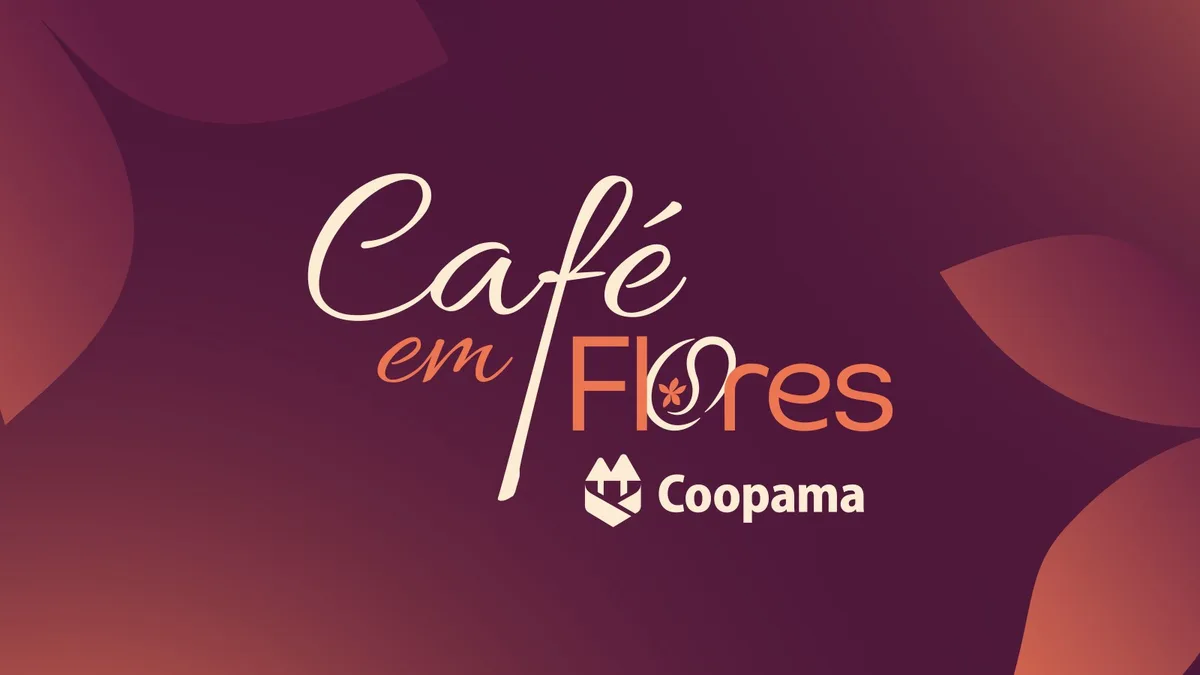 Café em Flores avança com lançamento de café e exportação para a Inglaterra
