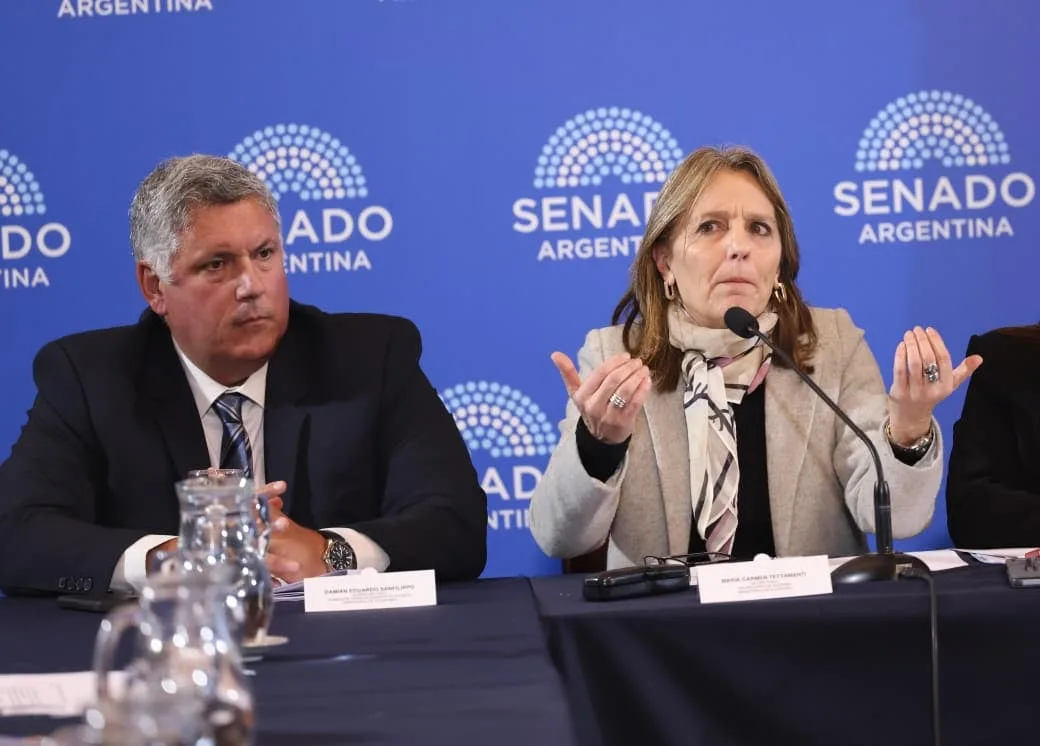 Senado: el oficialismo obtuvo dictamen para el proyecto que modifica el régimen de zonas frías
