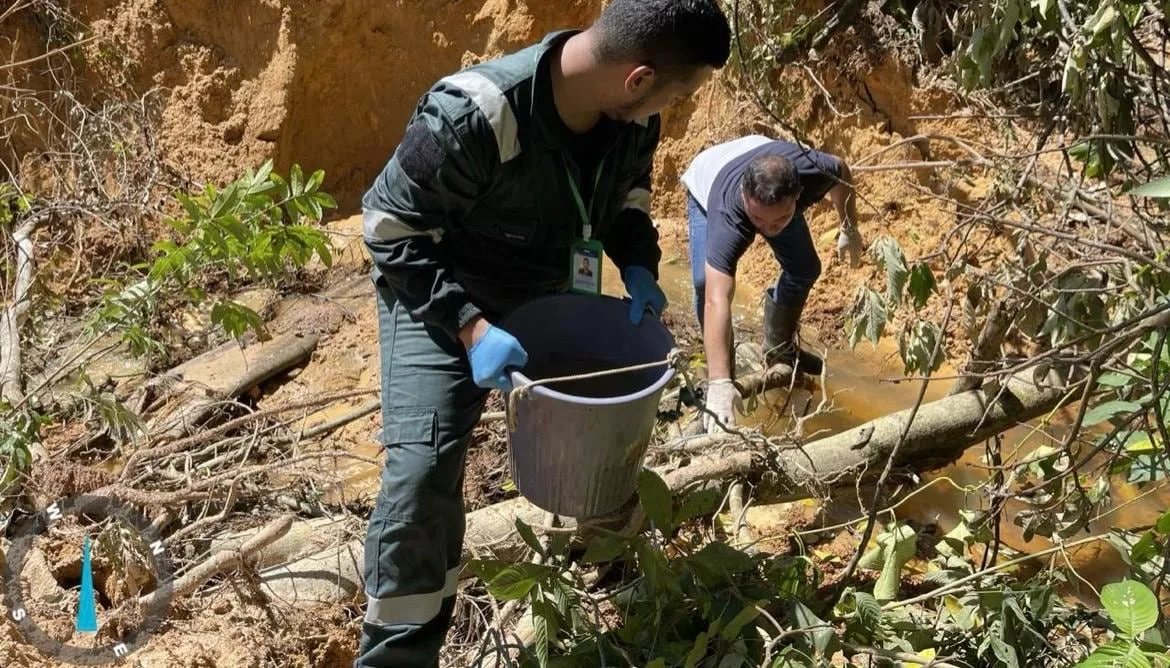 Análisis indican acidez y concentraciones de hierro y sulfatos en una quebrada cercana a una mina abandonada en Panamá