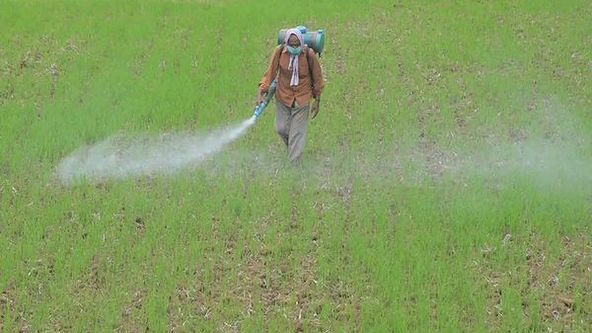 Rain deficit leaves paddy farmers on edge