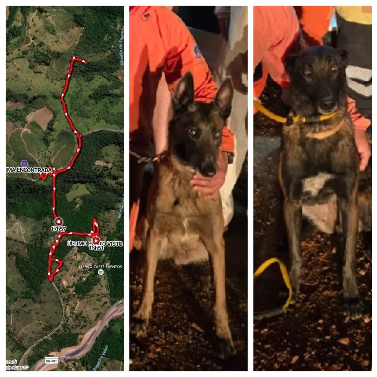 VÍDEO: Veja momento em que idosa de 95 anos é localizada por cães em mata e bombeiros fazem resgate; animais percorreram 8,3 km