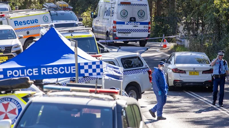 Three children stabbed, one dead in Blue Mountains