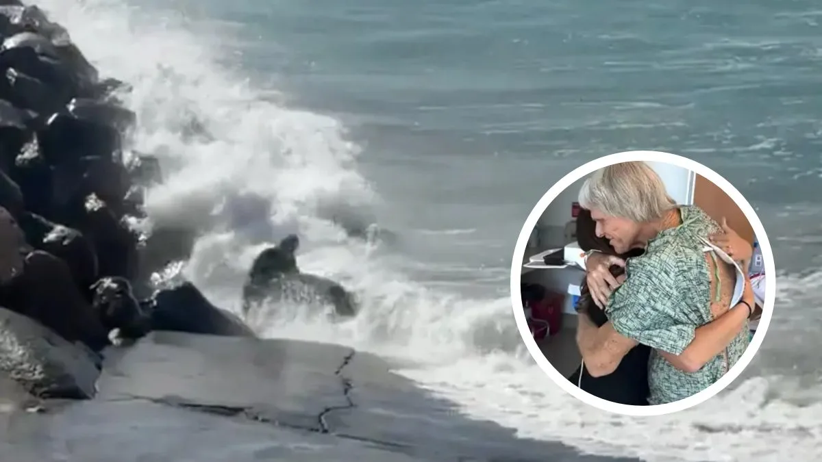 Publicitária entra no mar agitado para salvar surfista que estava de rosto para baixo na água após ser jogado contra rochas por onda enorme