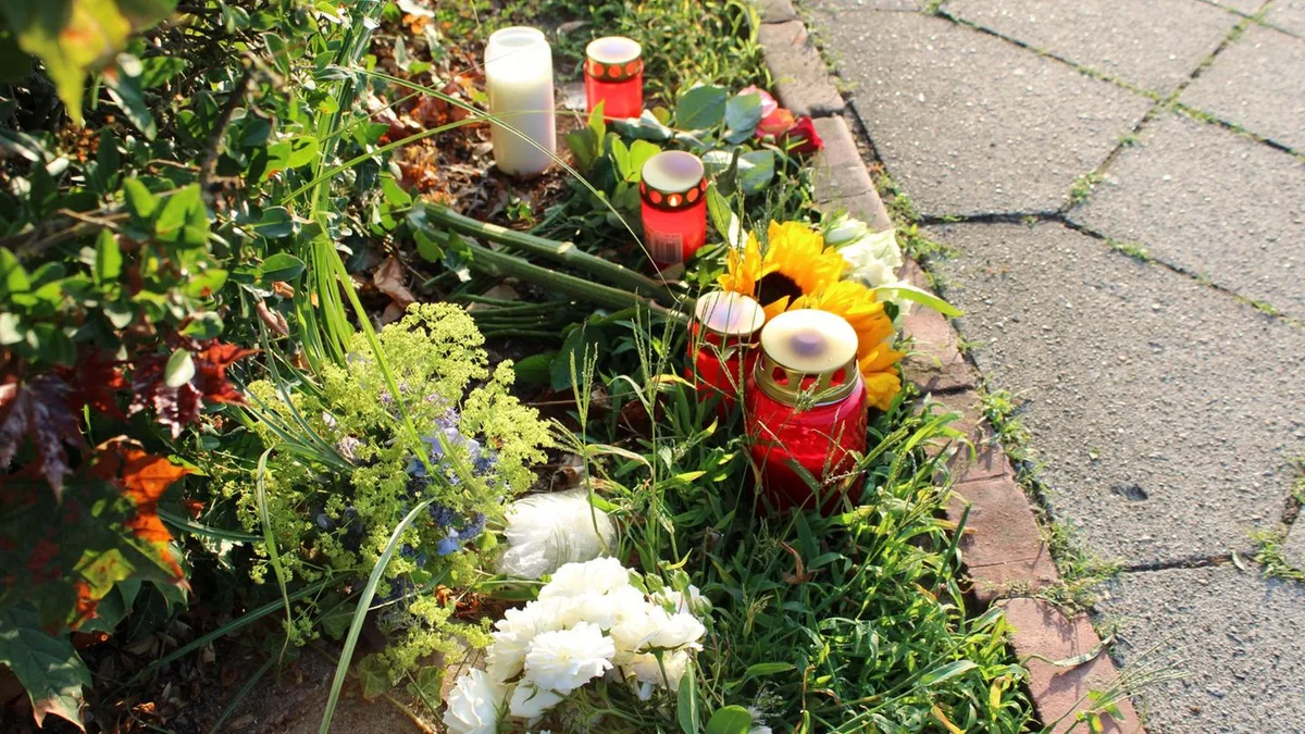 Zugriff in Berlin: Gewalttat in Stade: Mutmaßlicher Waffenverkäufer verhaftet