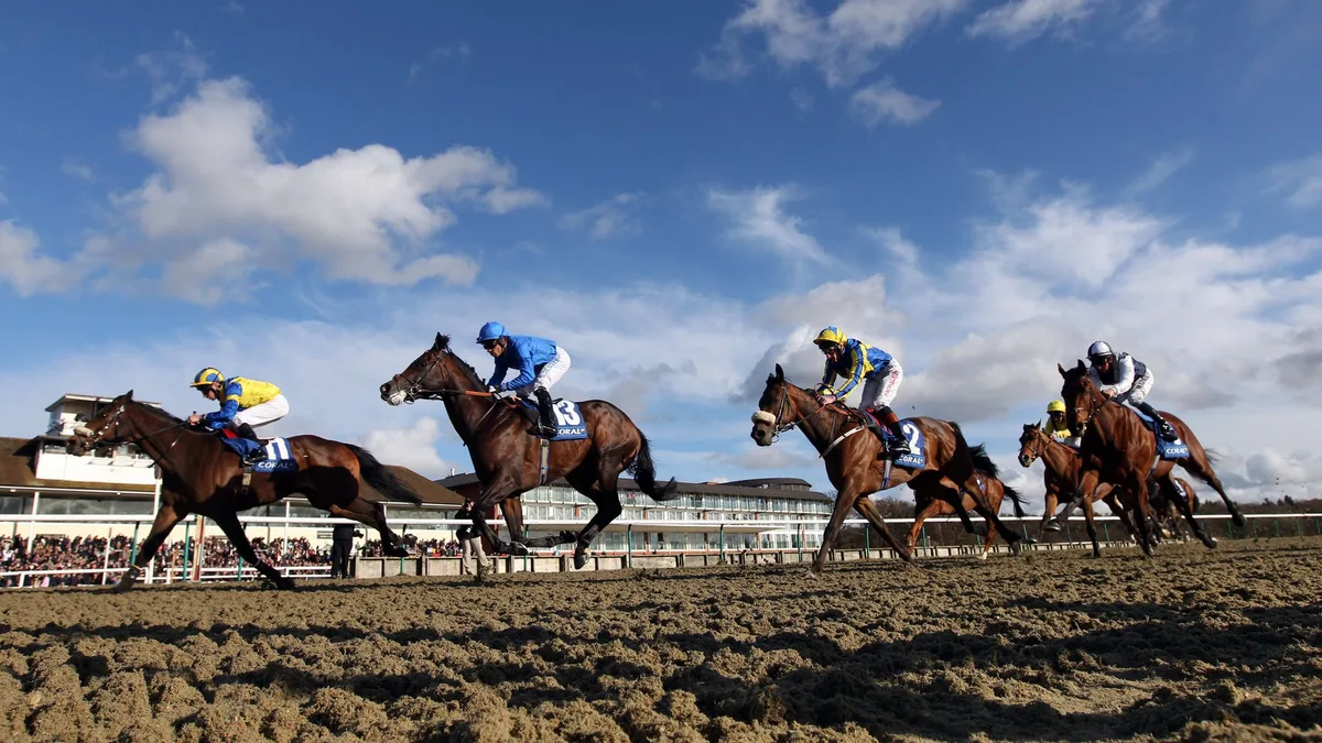 Lazurite looks to make it third time lucky at Lingfield Park