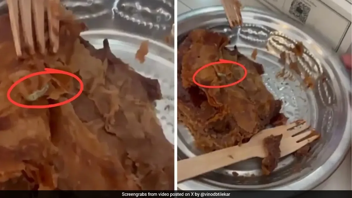 Video: Months Before Sandwich, Worm Found In Dessert At PAUL Bakery In Pune