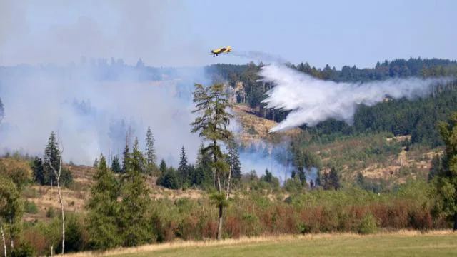 Löschflugzeug im Einsatz: Waldbrand im Harz ist gelöscht