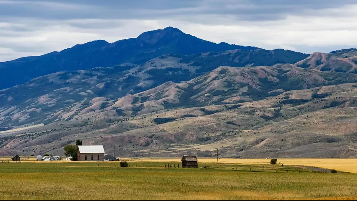 Iowa farmer turns to solar leases paying $1,200 per acre as falling crop prices squeeze profits