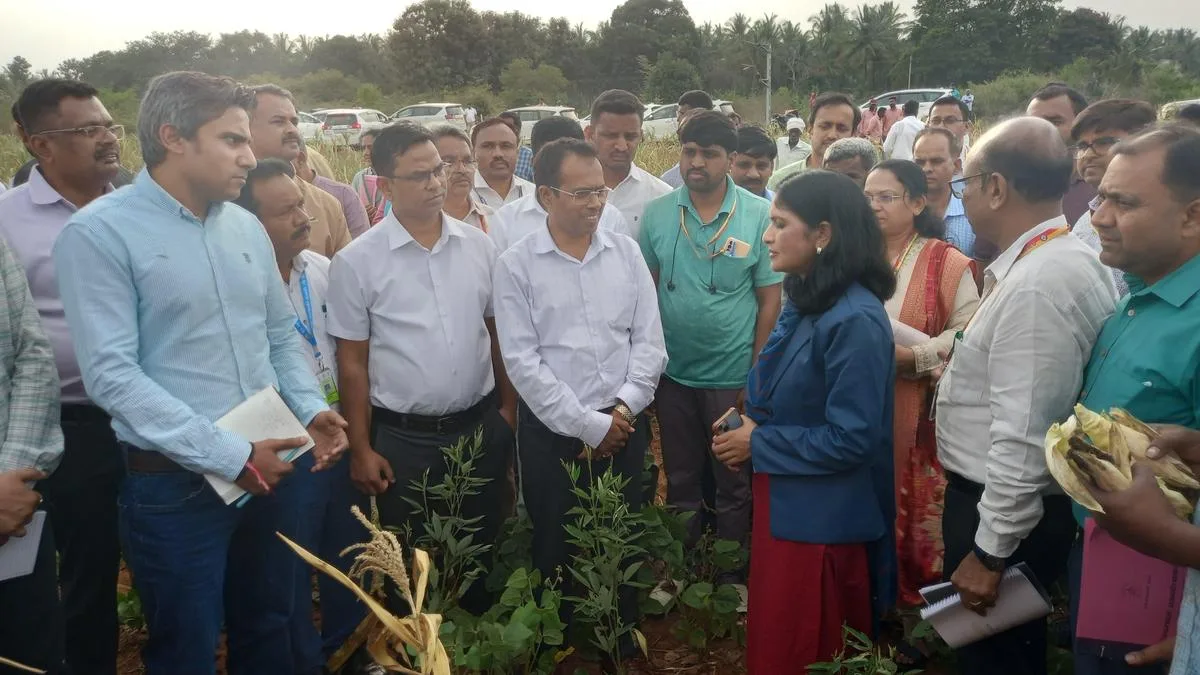 Central team visits drought-hit farms in Hassan