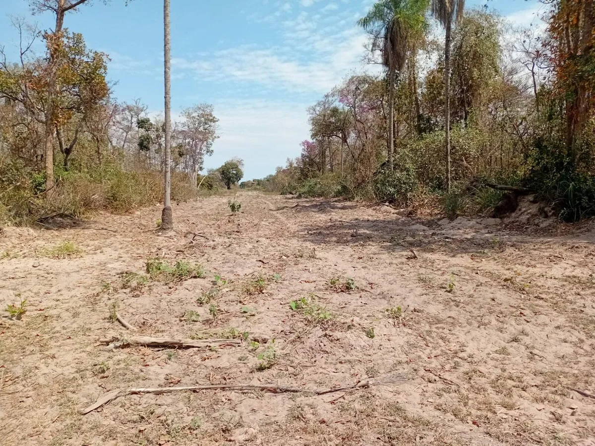 Ibama multa 5 fazendeiros em R$ 22,5 milhões por incêndios no Pantanal