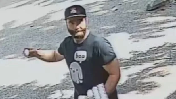 Man charged in egging of Saskatoon synagogue wants to make 'reparations' to Jewish community