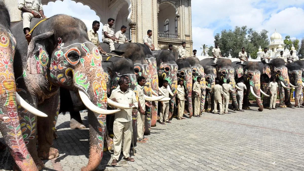 Dasara Gajapayana on Aug 26; nine elephants in first batch