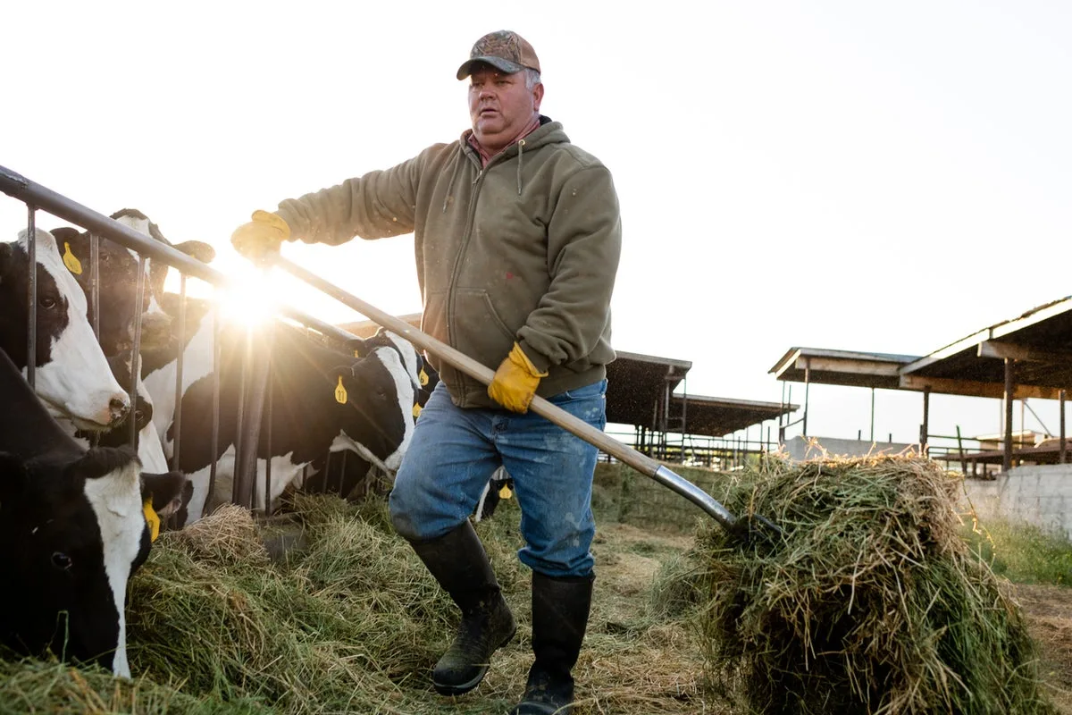 US-Canada trade war threatens the future of American farm crops