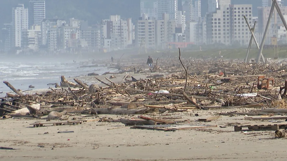 Praia que ‘desaparecia’ e recebeu alargamento de R$ 31 milhões em SC é tomada por 90 toneladas de galhos e lixo após chuvas intensas: ‘não fica bonito’