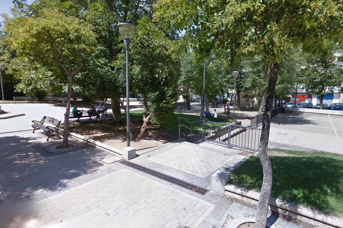 Precintan un tejo en un parque de Salamanca tras el ingreso hospitalario de tres niños por comer sus frutos
