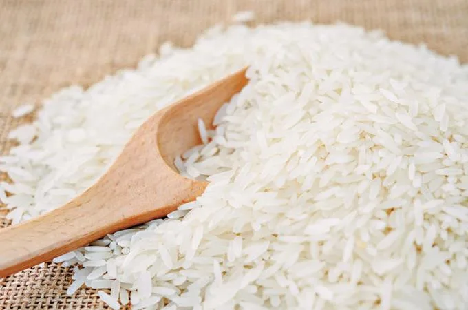 Productores de arroz solicitan incremento de 60 % en el precio pagado por la cosecha