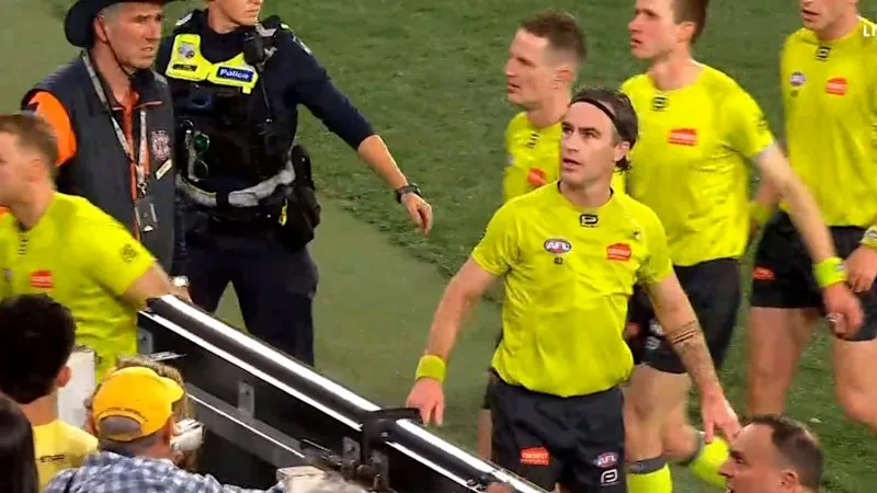 Police called after fan struck by a bowl of nachos